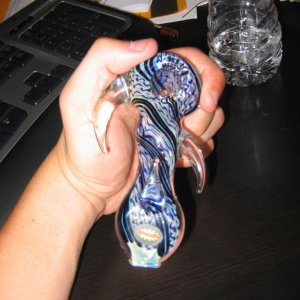 new bowl