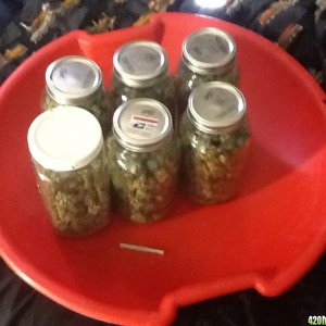 Six jars and a joint