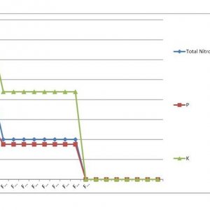 AN MJGH Analysis