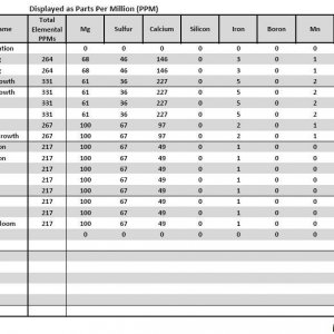 MJGH Nutrient Formula Analysis