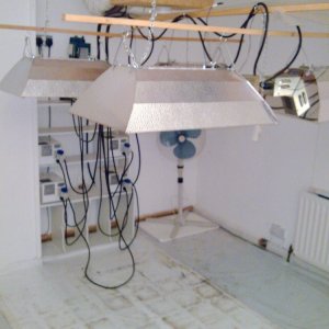 A Gardener's Empty Grow Room /Before