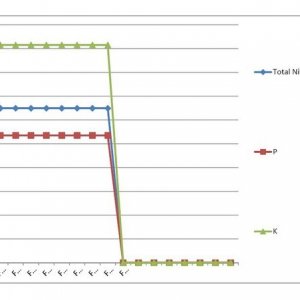 Lucas Formula - US Analysis