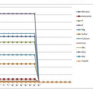 Lucas Formula - US Analysis