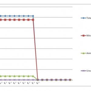 Lucas Formula - Metric Analysis