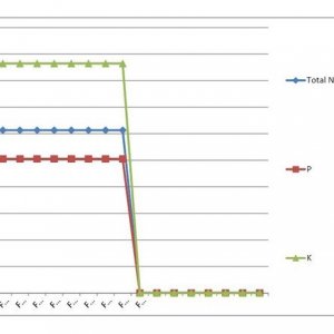 Lucas Formula - Metric Analysis