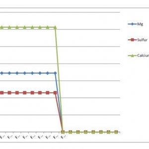 Lucas Formula - Metric Analysis