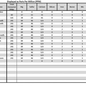 Lucas Formula - Metric Analysis