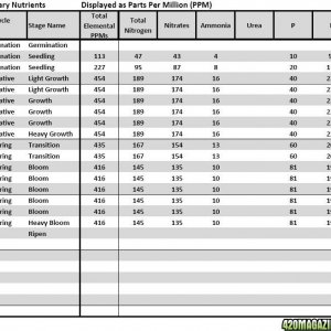 AN 1 2 3 Analysis