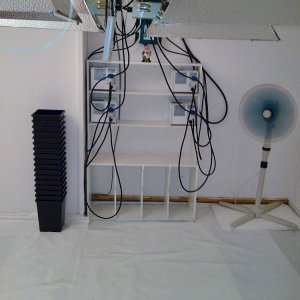 A Gardener's Empty Grow Room Before & After