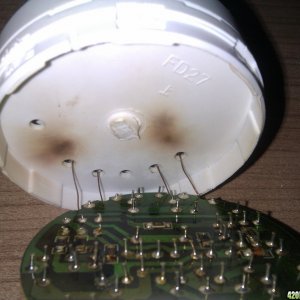 dead cfl