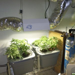 veg room