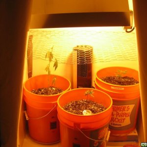 overview of the grow room