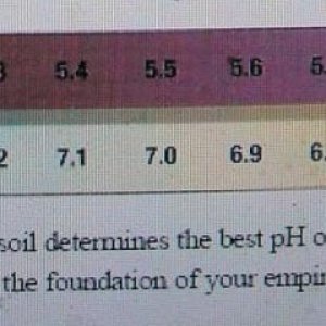 water ph chart