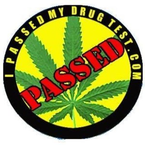 I Passed My Drug Test .Com Logo