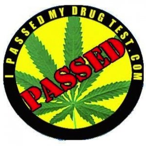 Ipassedmydrugtest Logo 2