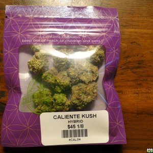 Caliente Kush