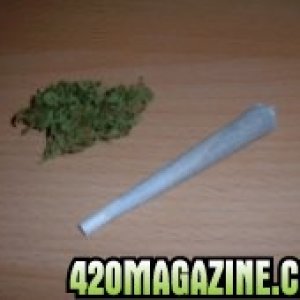 hollandse joint