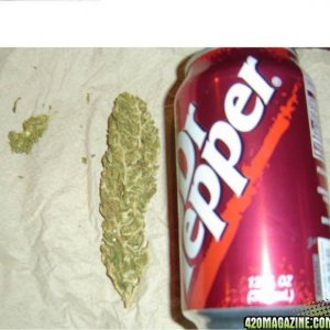 dr pepper budz