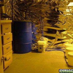 grow room pics