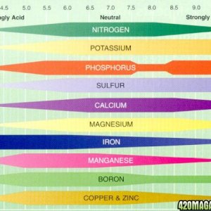 nutrient_availabity