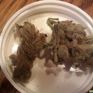 Chronic Nugglets... = )