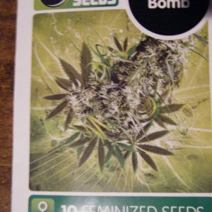 Bomb Seeds' THC Bomb seeds package front