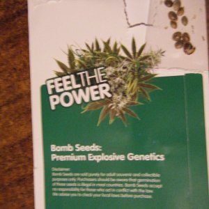 Bomb Seeds' THC Bomb seeds package back