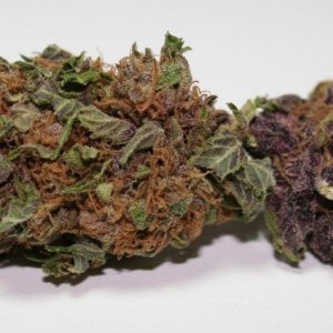 Grape Ape