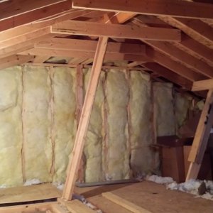 Prospective attic space for grow