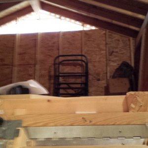 Prospective attic space for grow