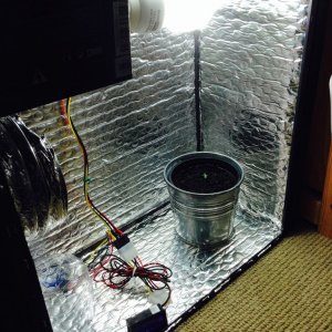 growbox_day_2