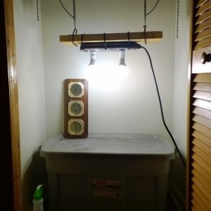 Homemade CFL Lighting