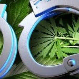 Cannabis Handcuffs 150x220