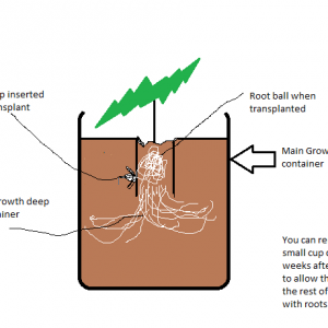 Transplant Idea