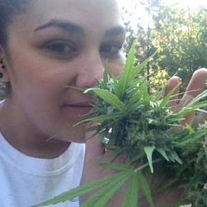 Smelling A Cannabis Flower In The Sun