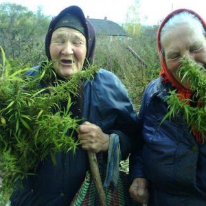 Older Ladies Enjoying Cannabis