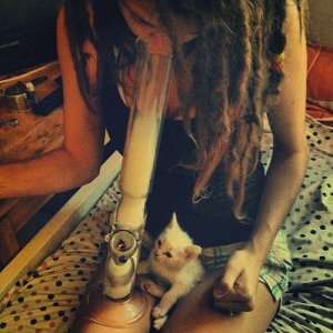 A Kitten Owner Smoking A Bong