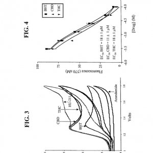 US-patent-6630507-5