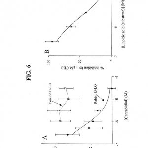 US-patent-6630507-7