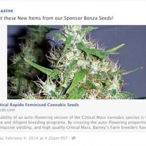 FB Ad 02/03/14