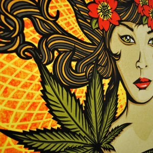 Woman And Cannabis