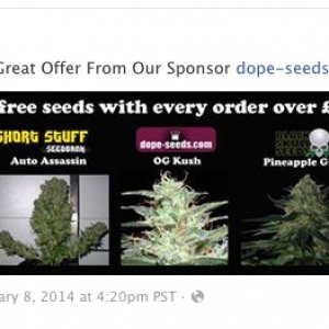 Dope-Seeds.com Fb 02/08/14