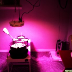 Experimenting with cheap LED setups