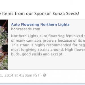 Bonza FB Ad 02/11/14