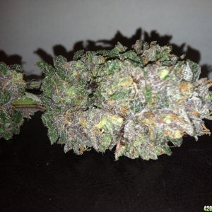 Purple-Wreck