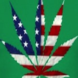 US Flag With Cannabis Leaf