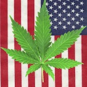 US Flag With Cannabis Leaf 2