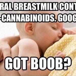 Cannabinoids in breast milk