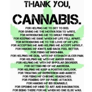 Thank You Cannabis