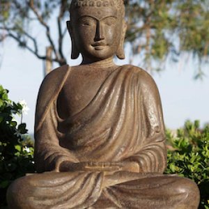 Lotus Buddha 1